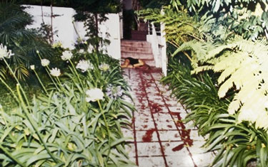 nicole brown simpson and ronald goldman crime scene photos